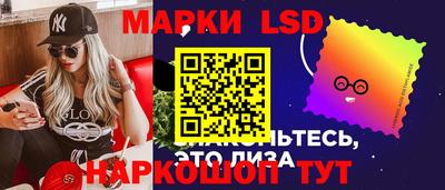 индика Можга
