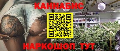 индика Можга