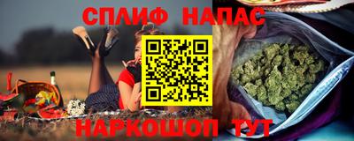 индика Можга