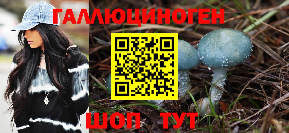 Галлюциногенные грибы Cubensis  Вход с VPN  Галлюциногенные грибы Cubensis  Рассказово 